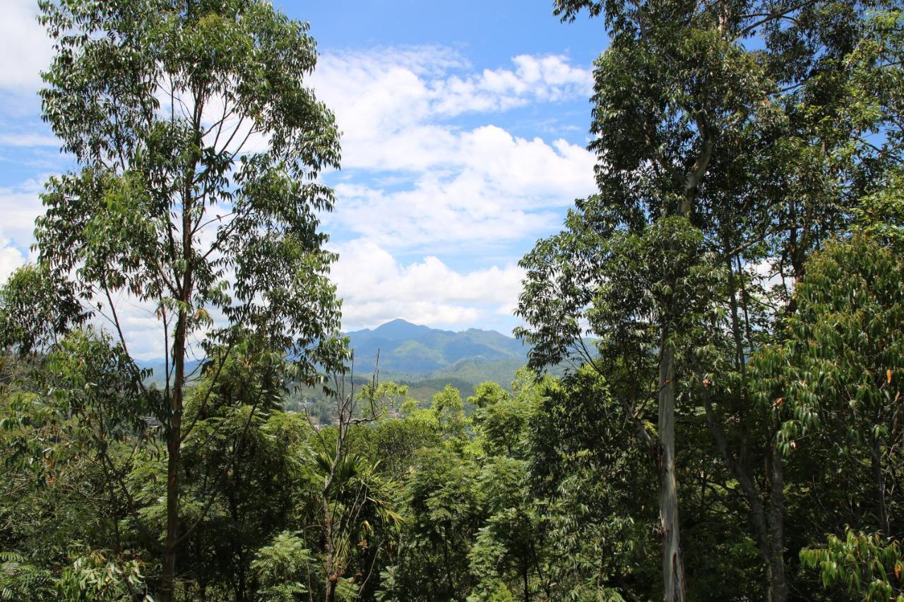 The Bliss Homestay Ella Esterno foto