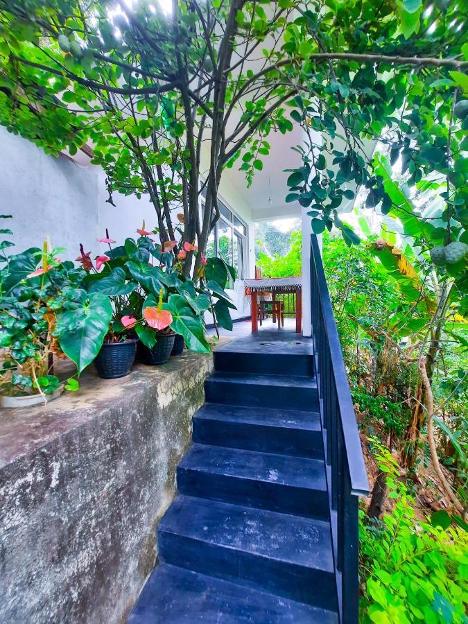 The Bliss Homestay Ella Esterno foto